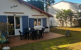 Les Grillons D'Eden